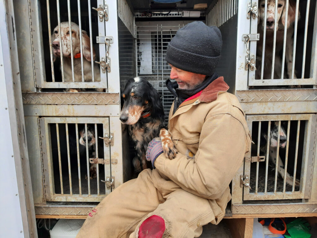 Dogs in Truck